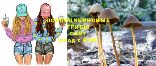 MDMA Premium VHQ Гусиноозёрск