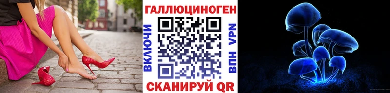 хочу наркоту  Томилино  Псилоцибиновые грибы MAGIC MUSHROOMS 