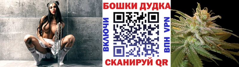 Бошки Шишки ГИДРОПОН купить закладку Томилино